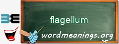 WordMeaning blackboard for flagellum